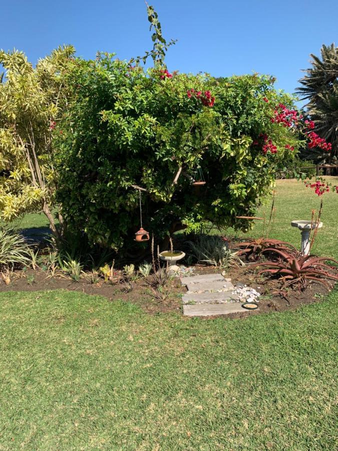 Sole'S Leap Villa Scottburgh Bagian luar foto