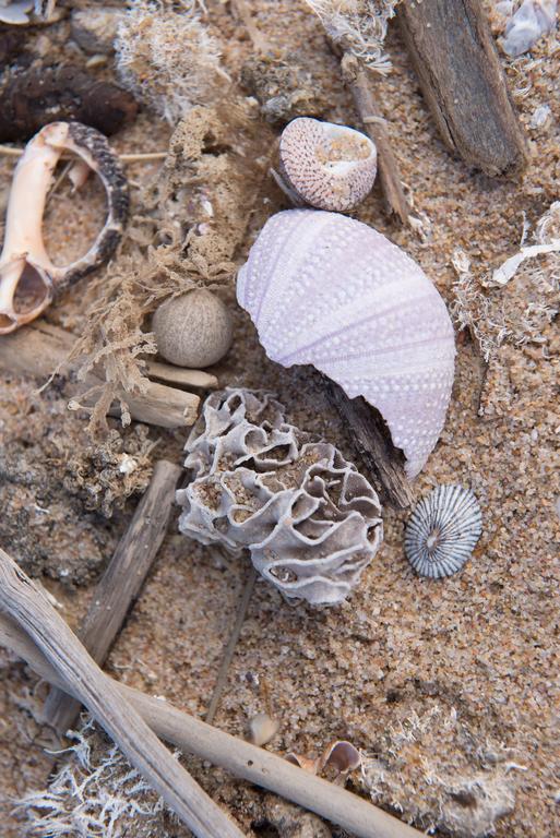 Sole'S Leap Villa Scottburgh Bagian luar foto